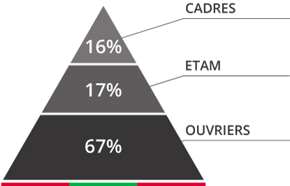 répartition cadres, etam et ouvriers